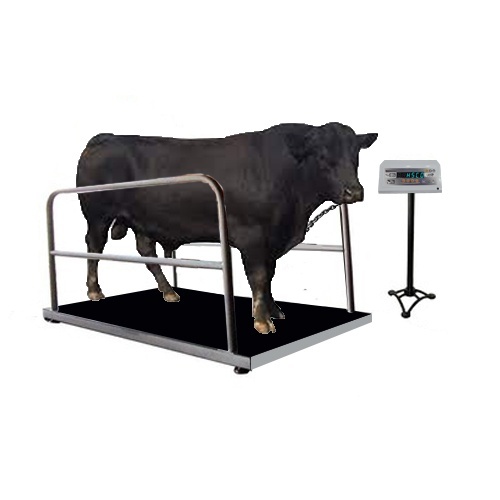 ASMS - Electronic Animal Scale with Iron Grill - Hindustan Scale Company -  HSCo