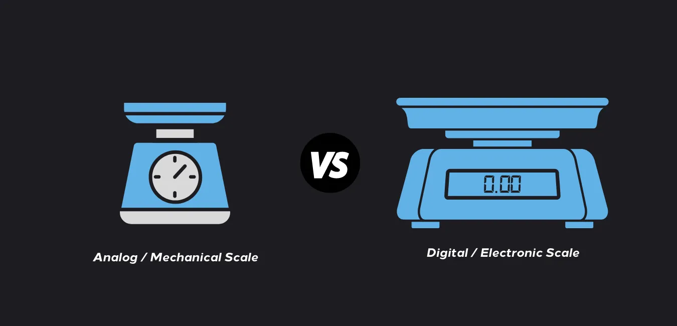 Digital & Analog Scale